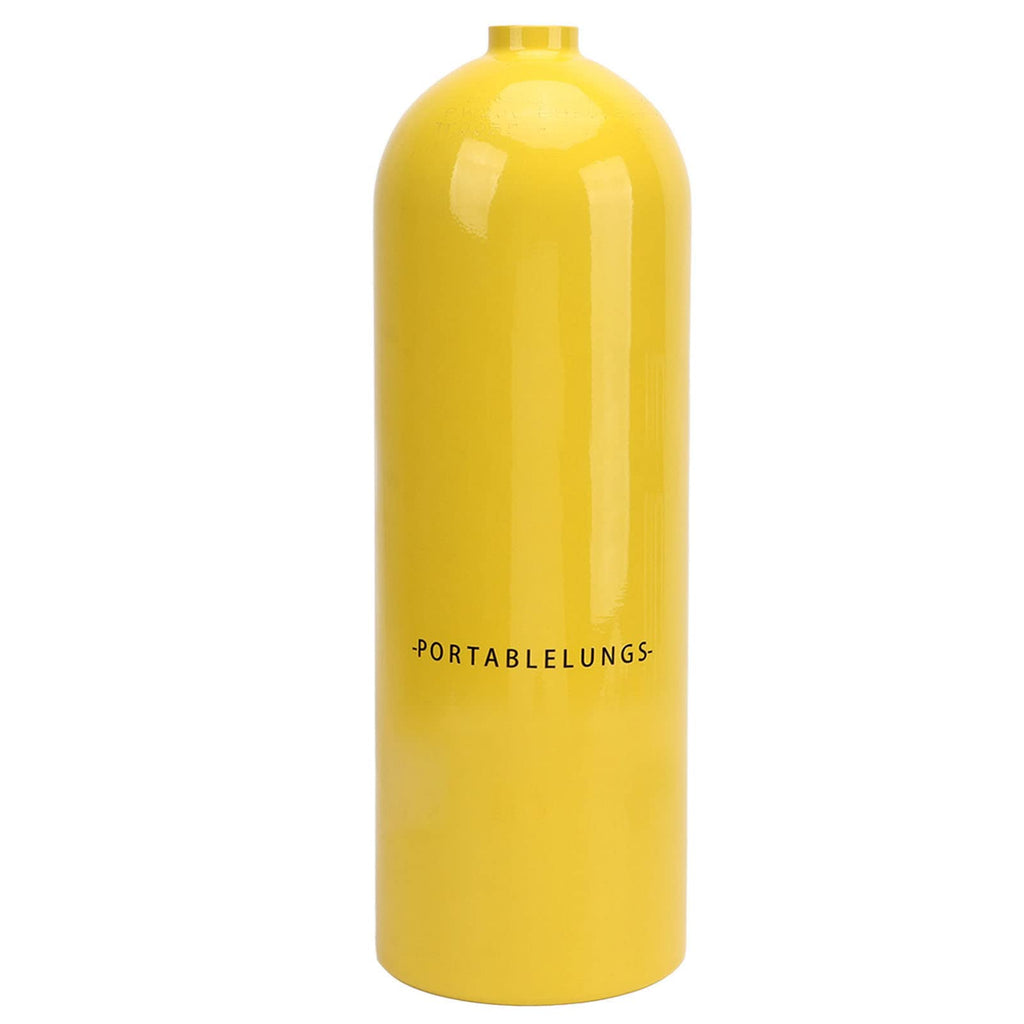 Professional Diving Snorkel Kit with Oxygen Tank & Breathing Regulator