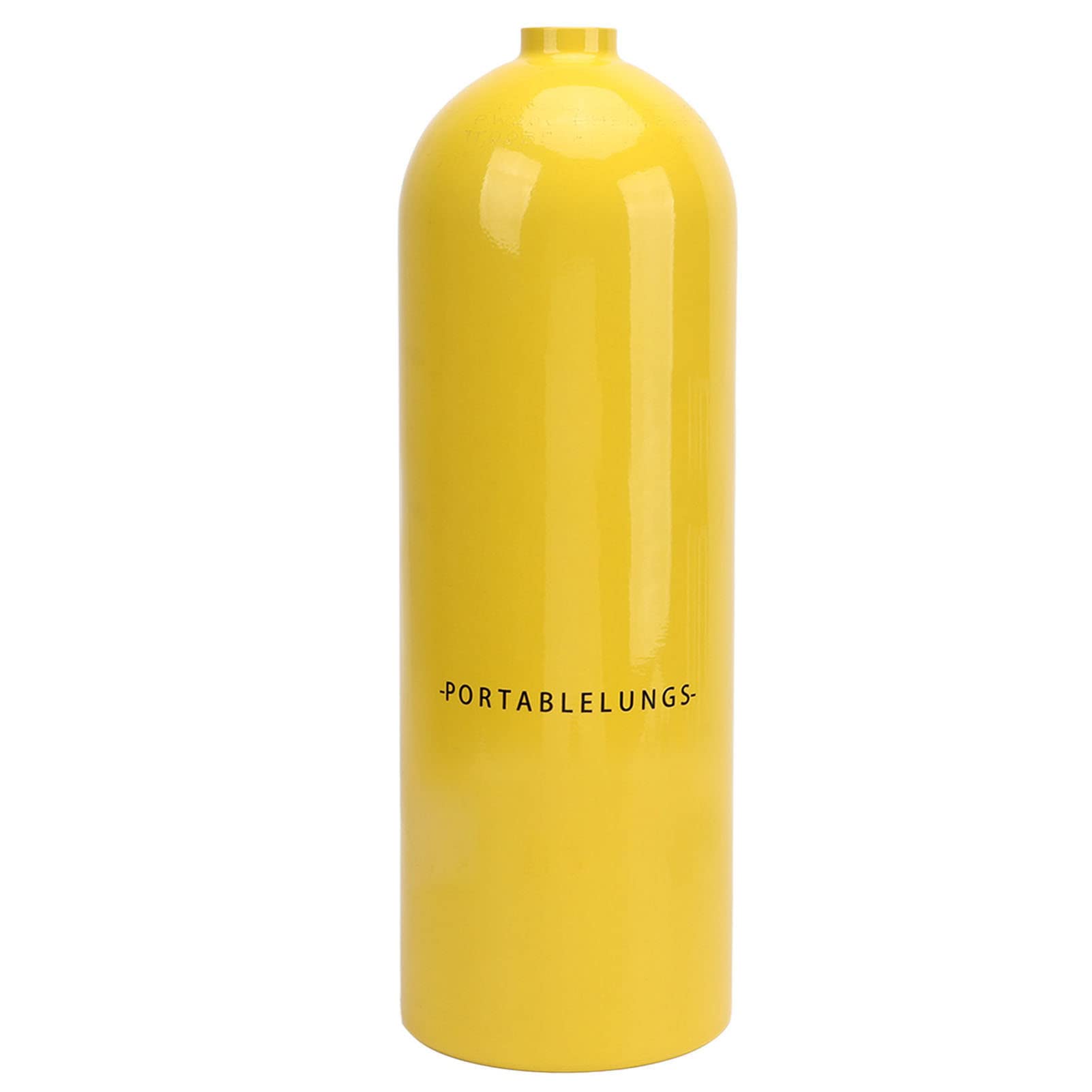 Professional Diving Snorkel Kit with Oxygen Tank & Breathing Regulator